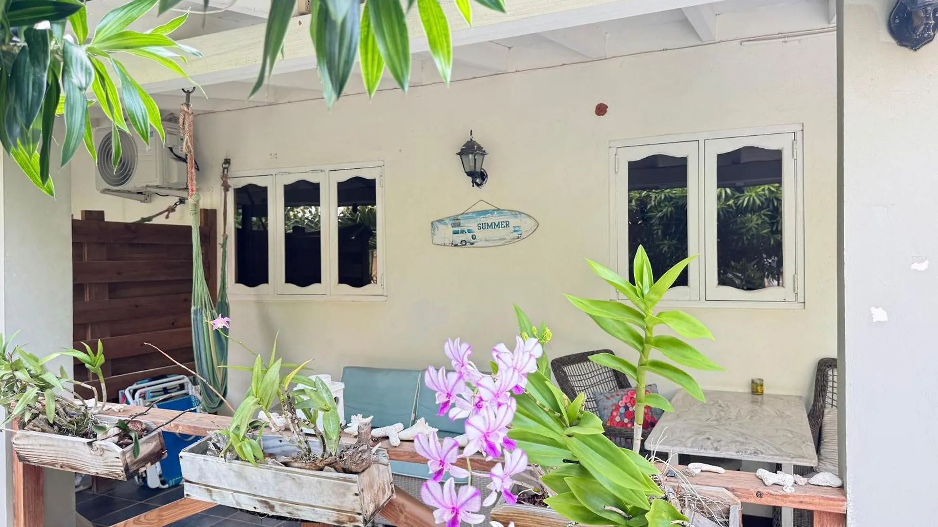Apartment Casalina Garden 2 Blocks To Palm Beach & Kitesurfing School