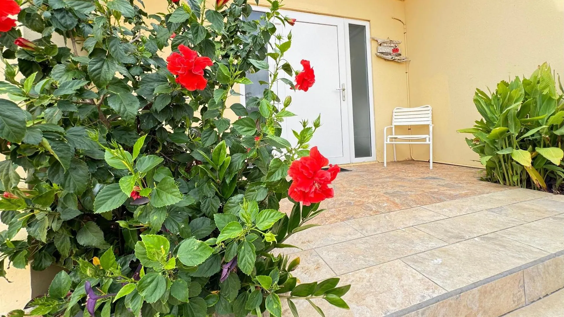 Apartment Casalina Garden 2 Blocks To Palm Beach & Kitesurfing School Aruba
