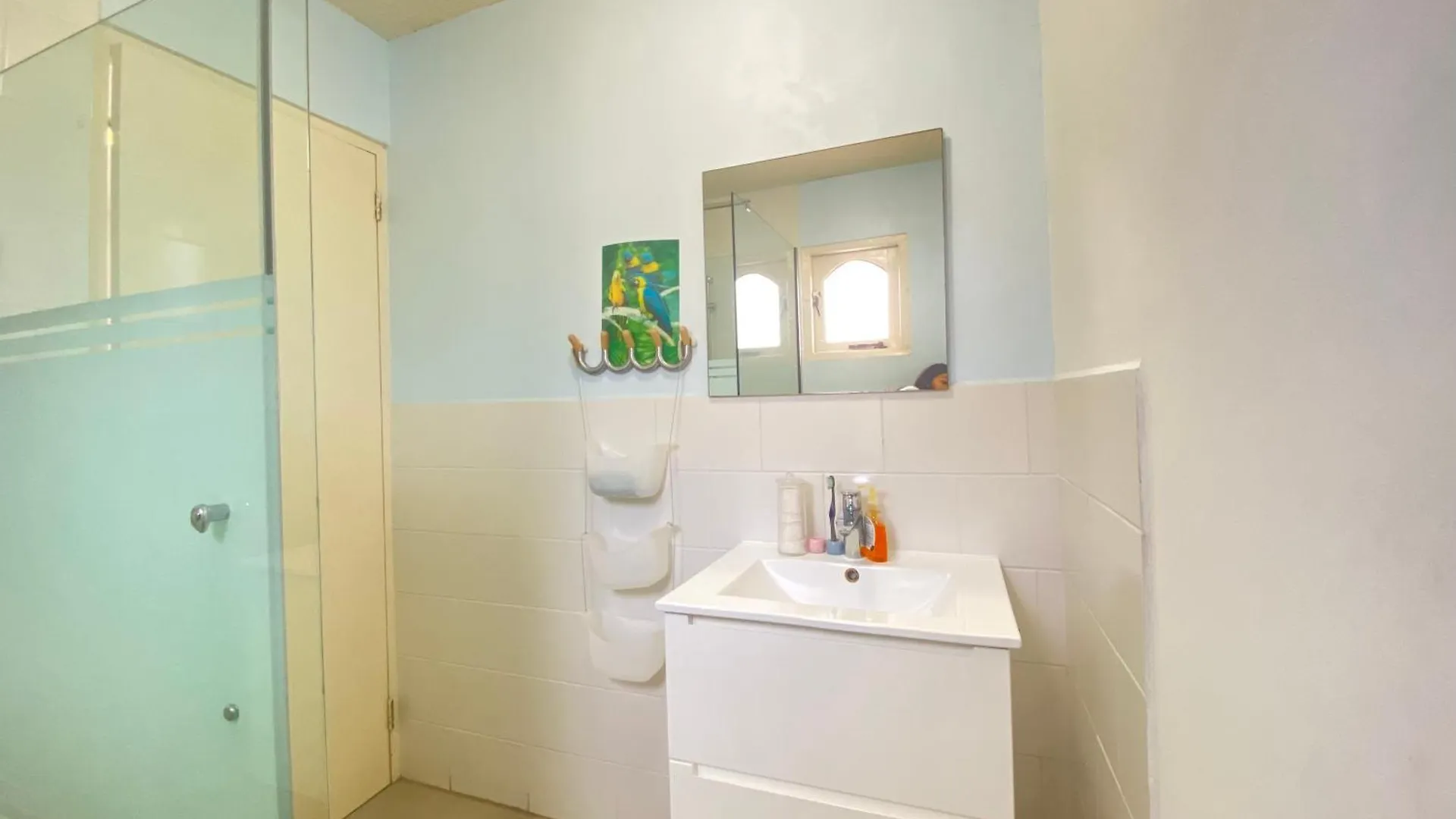 Apartment Casalina Garden 2 Blocks To Palm Beach & Kitesurfing School