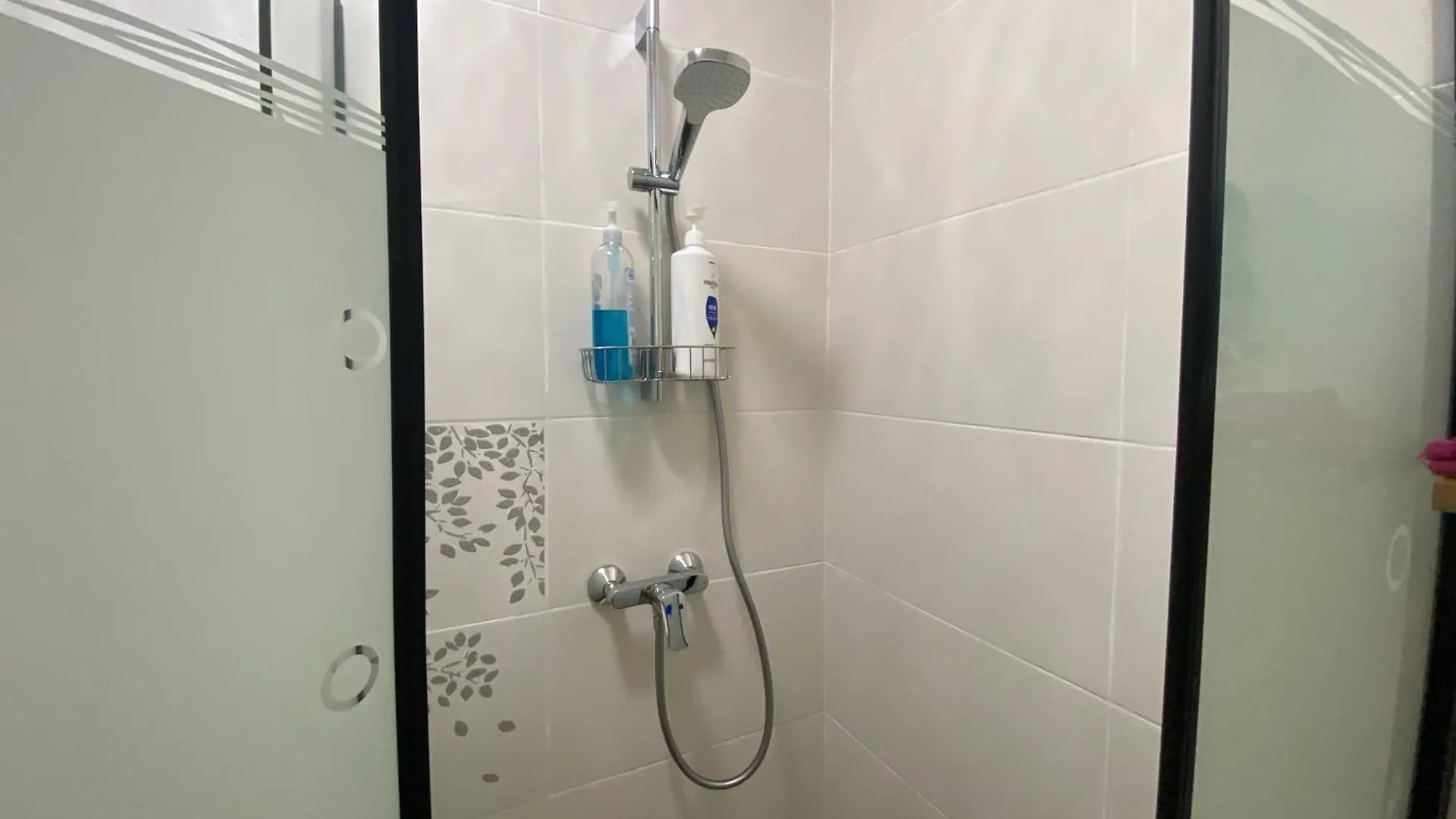 Apartment Casalina Garden 2 Blocks To Palm Beach & Kitesurfing School