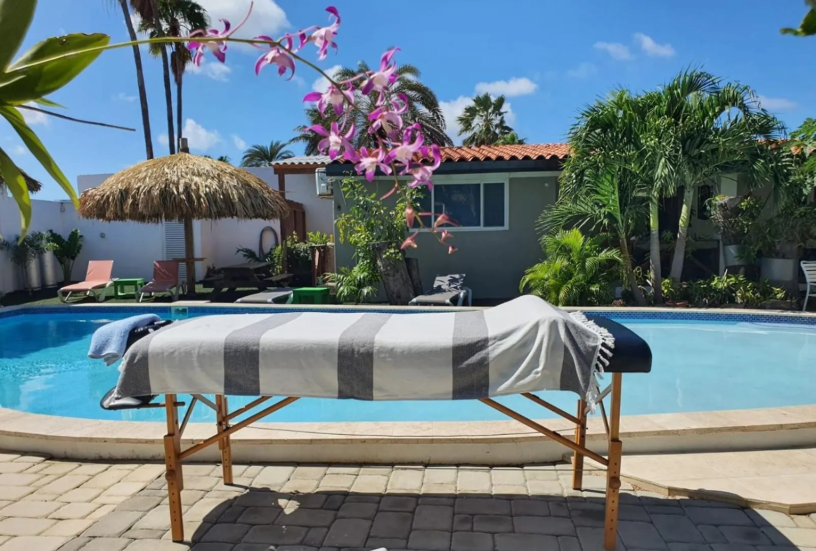 Apartment Casalina Garden 2 Blocks To Palm Beach & Kitesurfing School