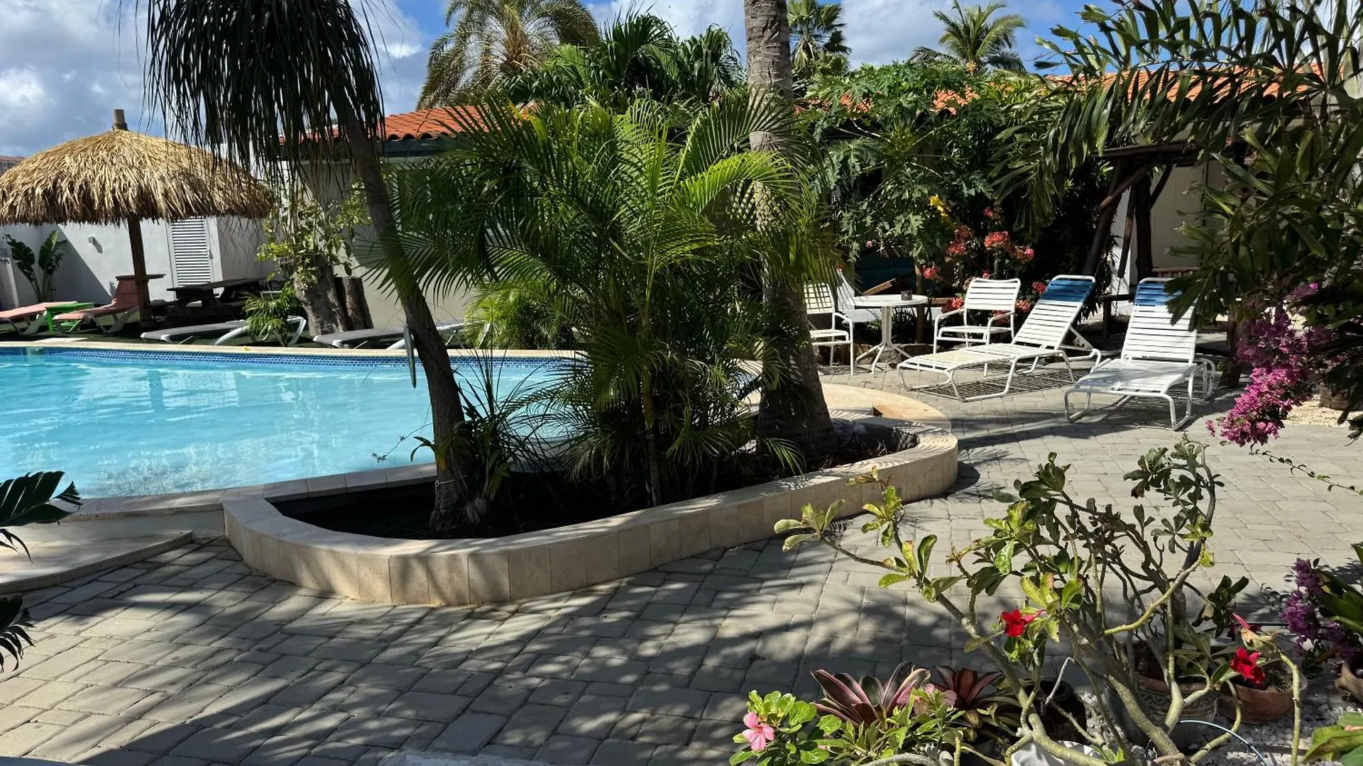 Casalina Garden 2 Blocks To Palm Beach & Kitesurfing School 0*,  Aruba
