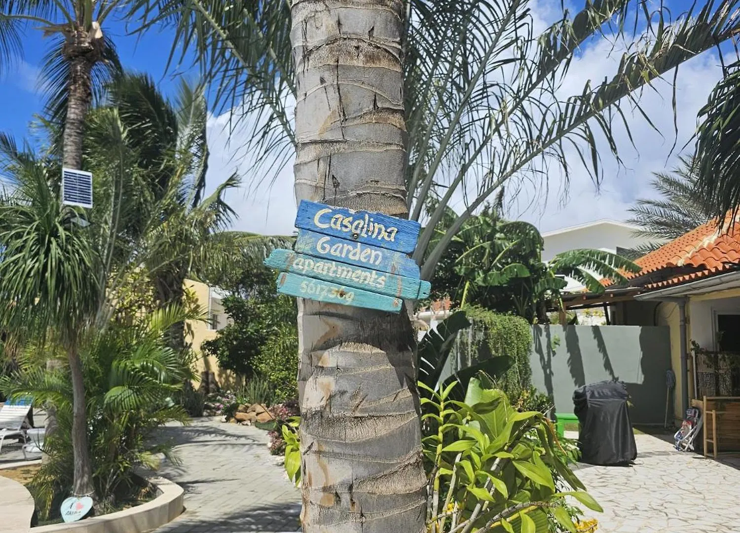 Apartment Casalina Garden 2 Blocks To Palm Beach & Kitesurfing School