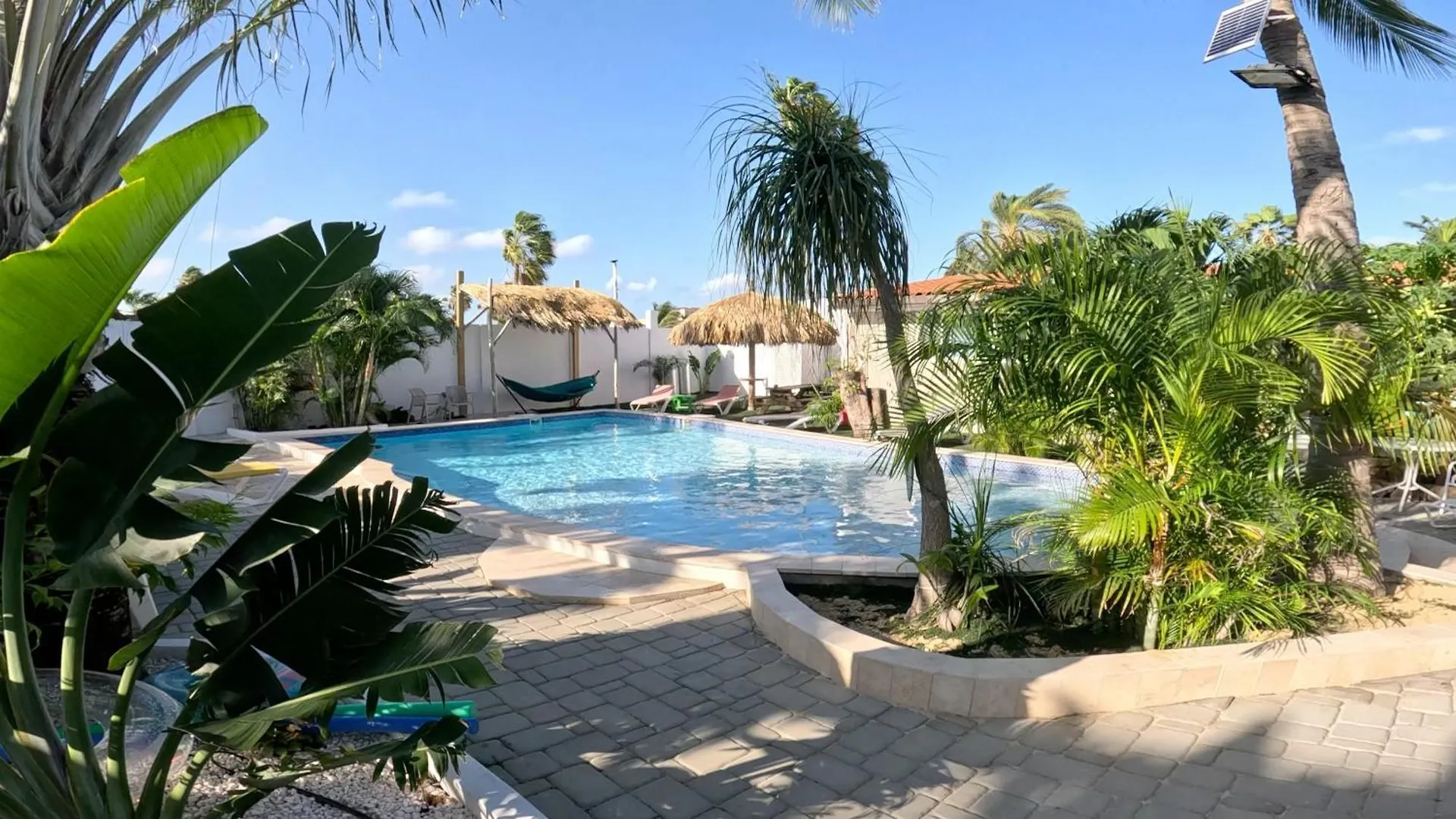 Apartment Casalina Garden 2 Blocks To Palm Beach & Kitesurfing School