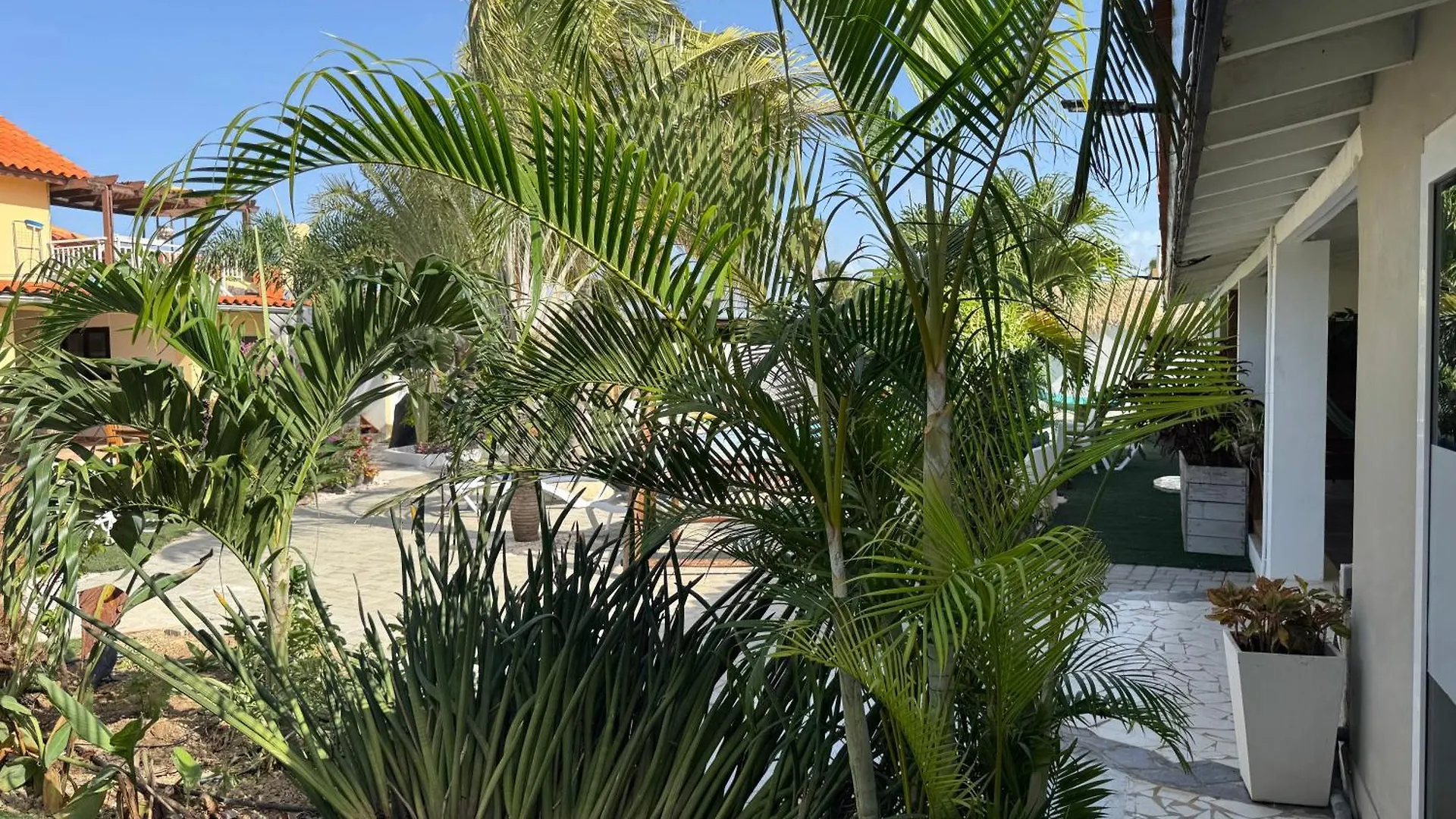 Apartment Casalina Garden 2 Blocks To Palm Beach & Kitesurfing School