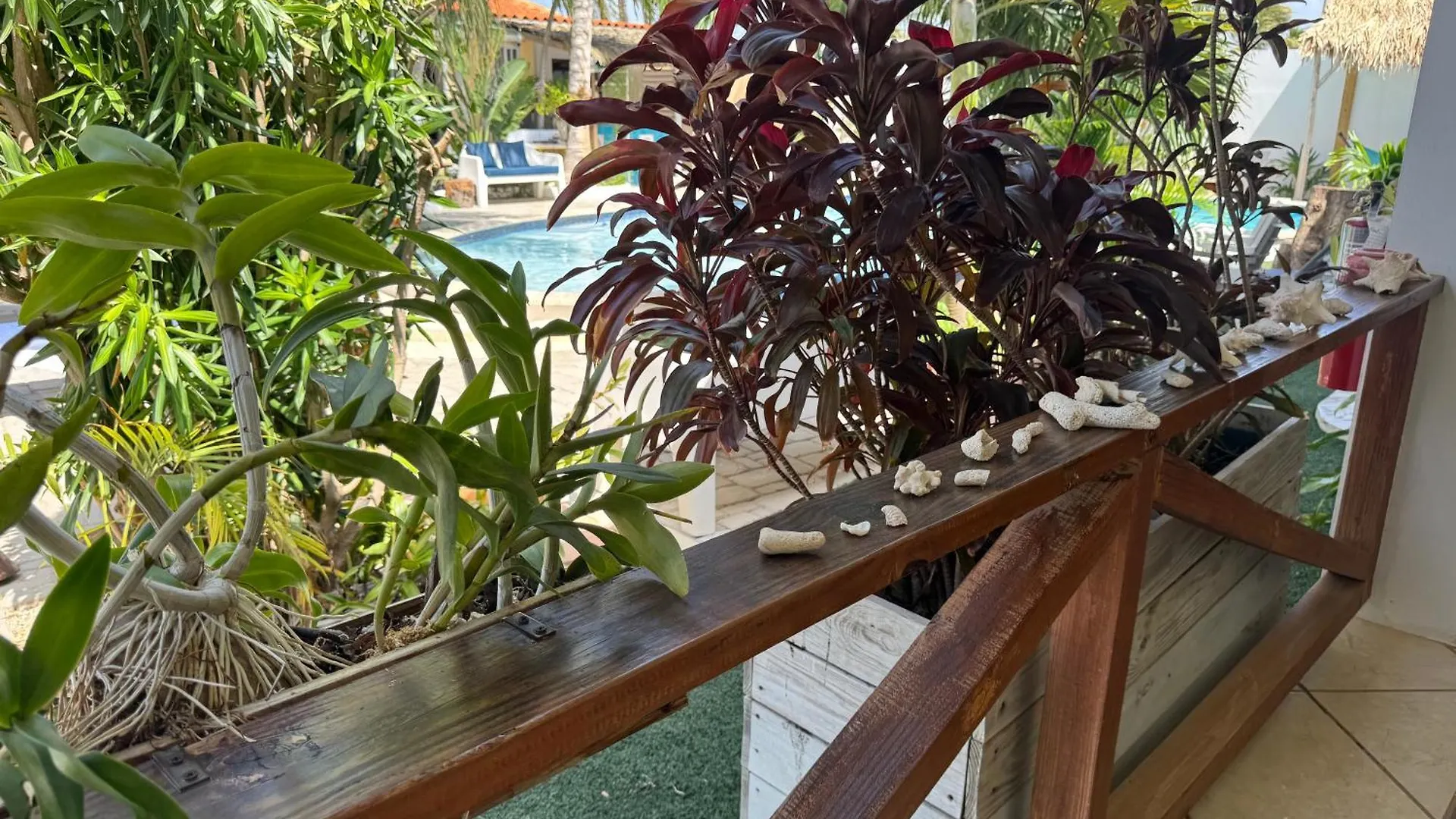 Apartment Casalina Garden 2 Blocks To Palm Beach & Kitesurfing School Aruba