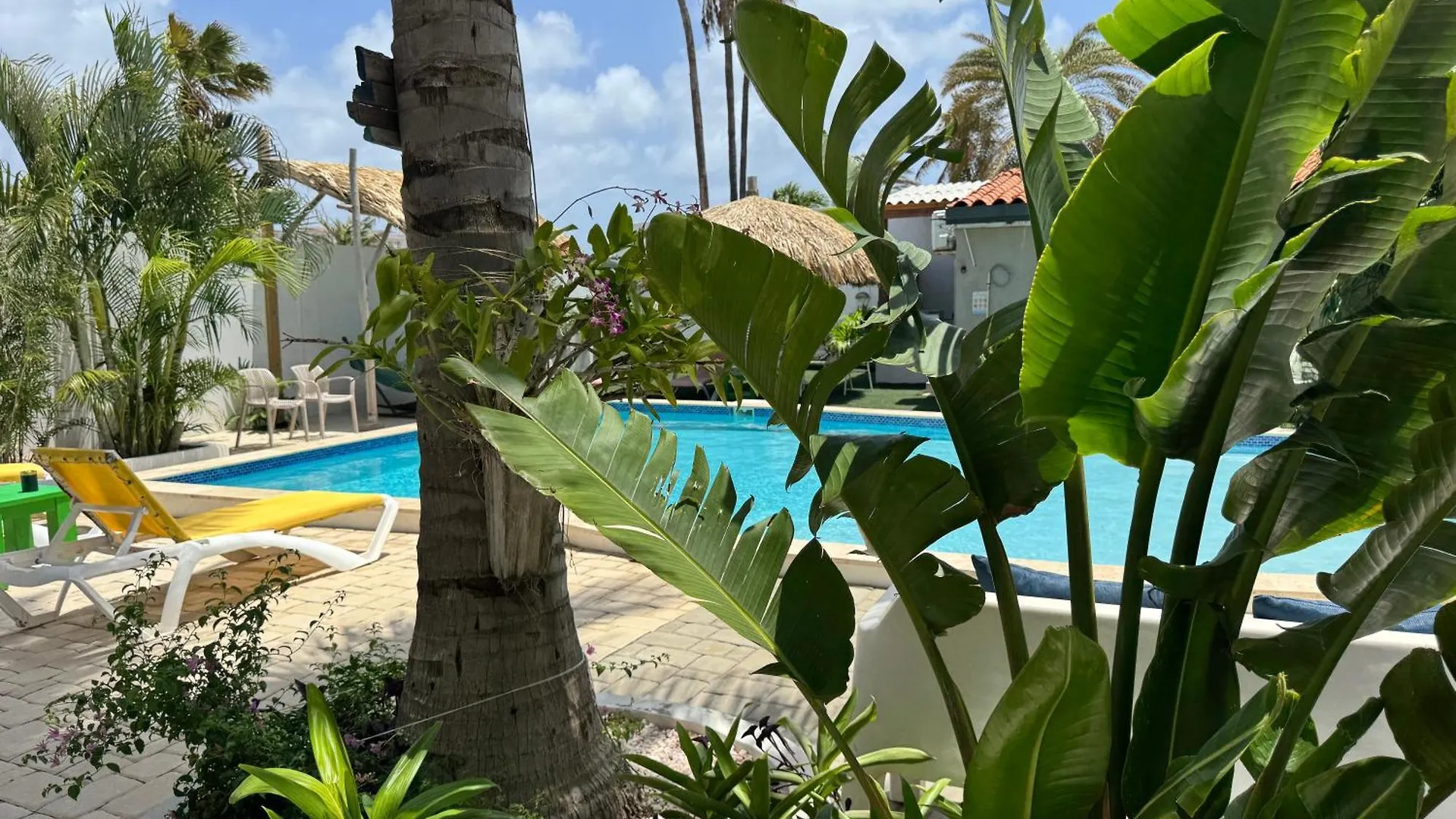 Apartment Casalina Garden 2 Blocks To Palm Beach & Kitesurfing School Aruba