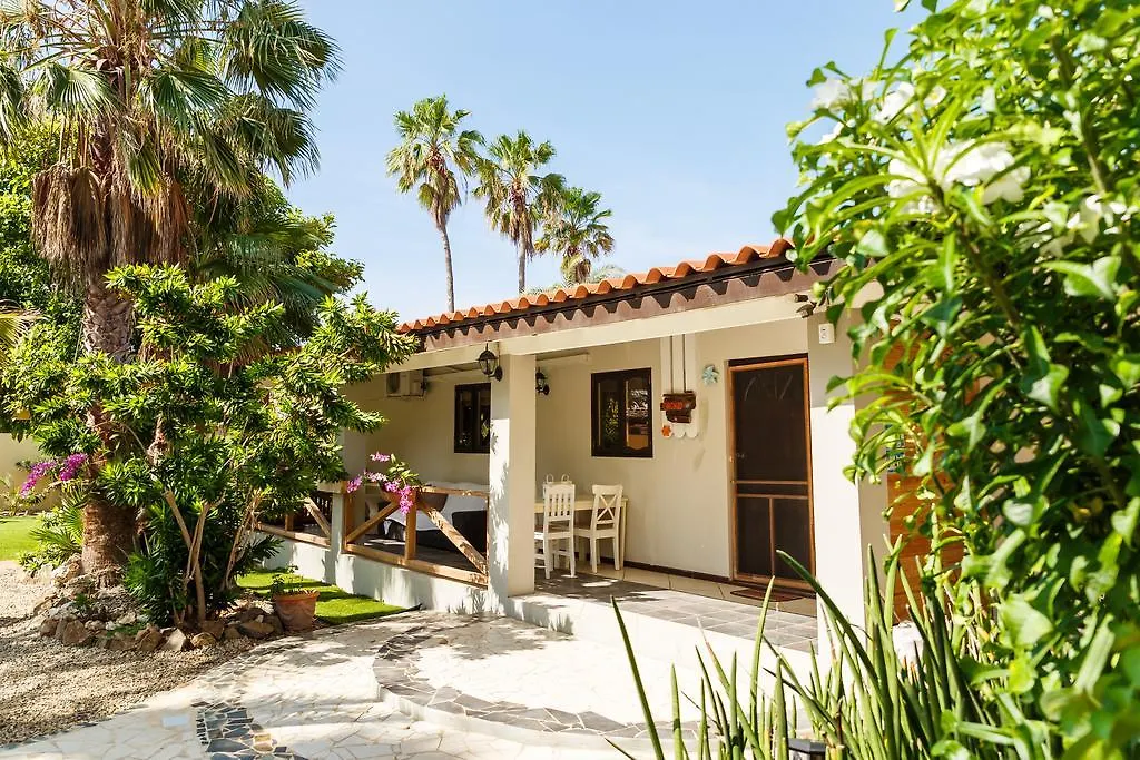 Apartment Casalina Garden 2 Blocks To Palm Beach & Kitesurfing School